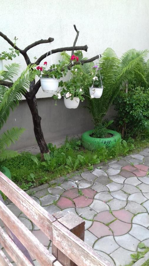 Pensiunea Simona Bran  Ngoại thất bức ảnh